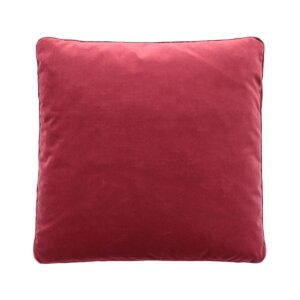 Cushion