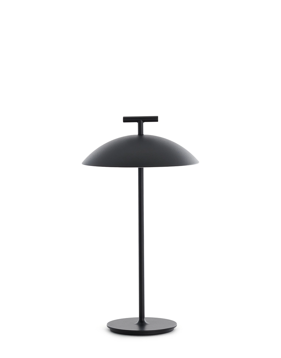 Mini geen-a battery version - Image 2
