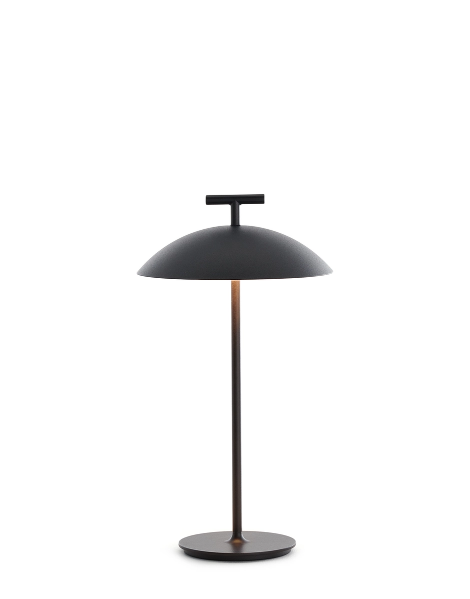 Mini geen-a battery version - Image 3
