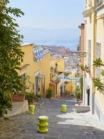 Corteza cachepot - Imagem 4