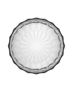 Jellies família - Imagem 3