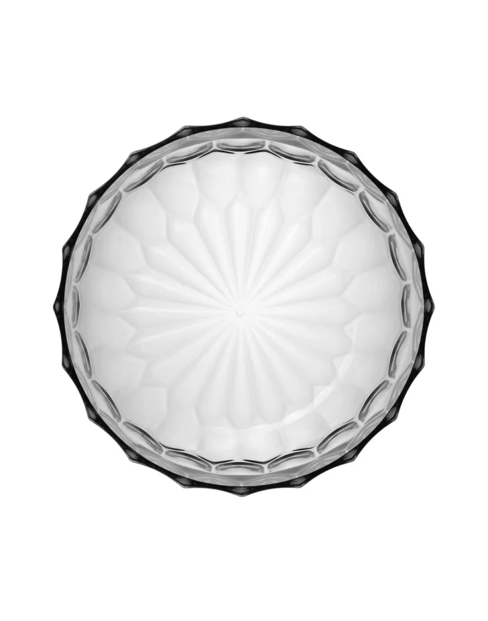 Jellies família - Imagem 3