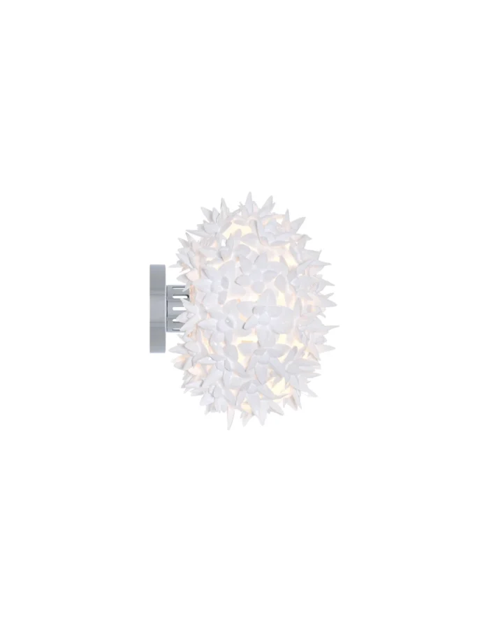 Bloom - Imagem 2