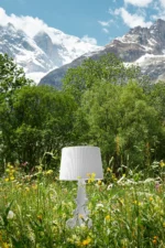 Bourgie limited edition - Imagem 3