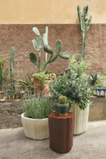 Corteza cachepot - Imagem 9