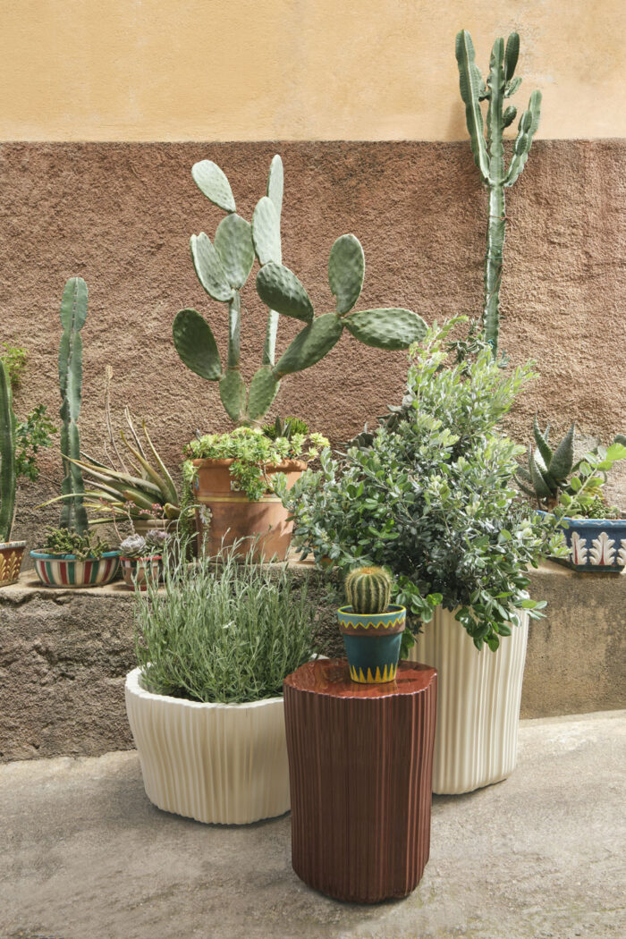 Corteza cachepot - Imagem 9
