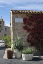 Corteza cachepot - Imagem 10